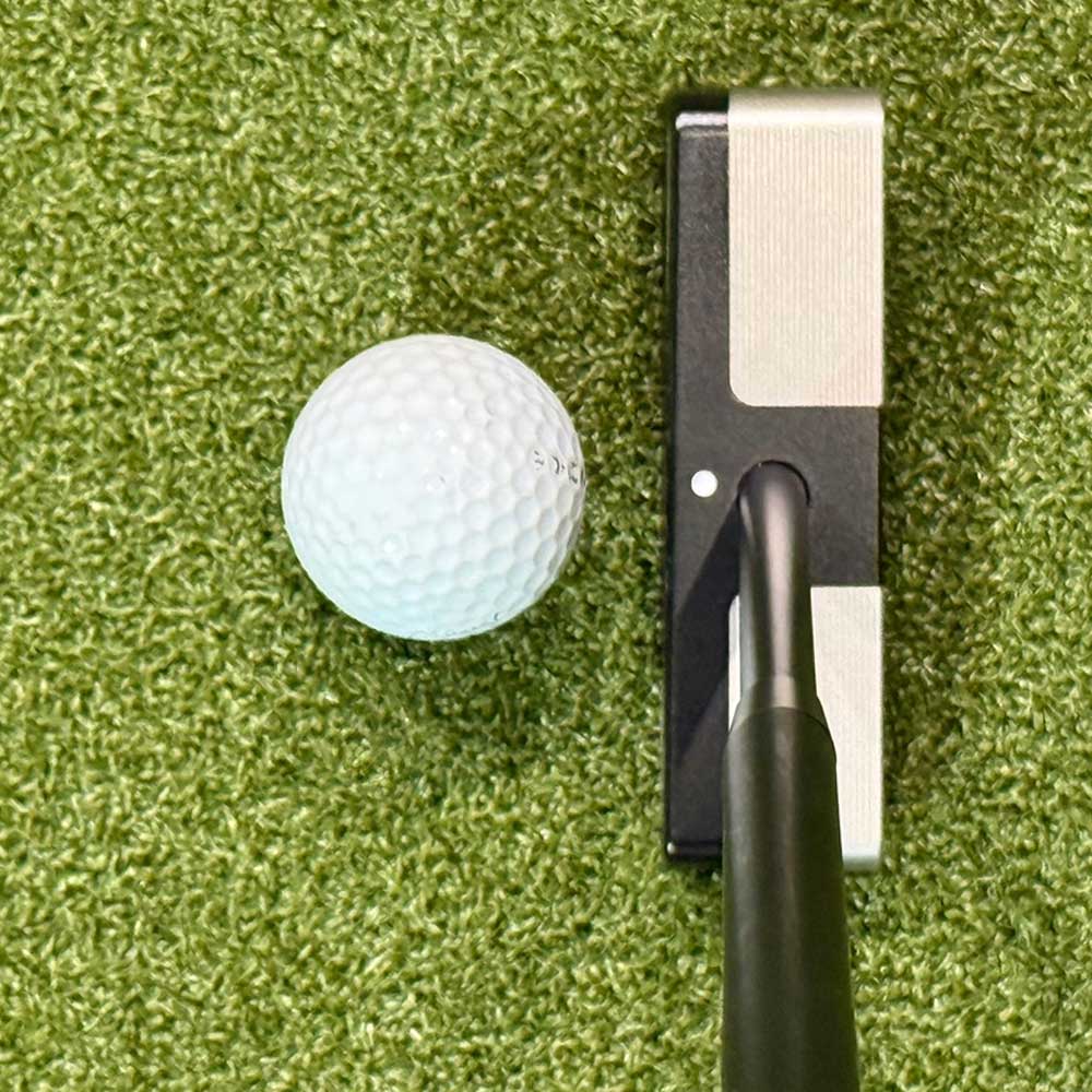Golf putter and ball on a green putting surface